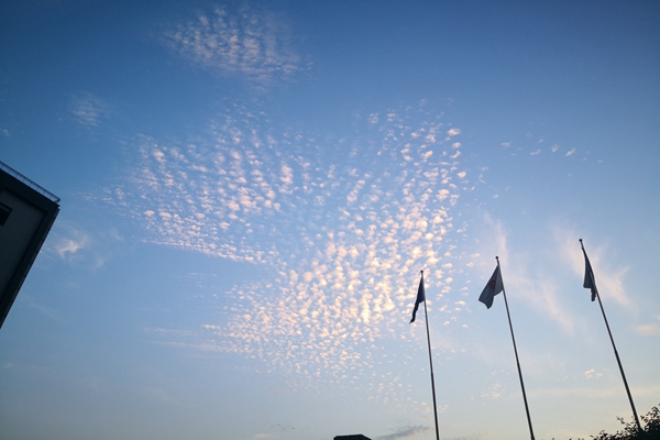 数据公布！前三季度经济“成绩单”出炉