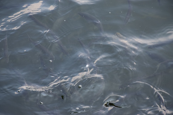 施耐德電氣以開放自動化引領(lǐng)水務(wù)行業(yè)高效韌性發(fā)展